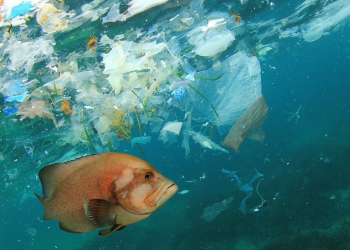 Unblocktober joins campaign months Stoptober and Veganuary to help save sewers and seas