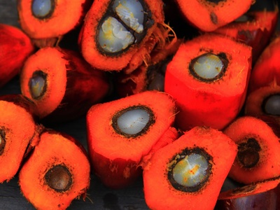 Understanding the issues surrounding sustainable palm oil in cosmetics