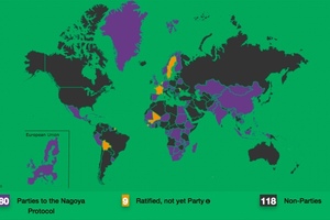 Understanding the Nagoya Protocol and its impact on health and beauty