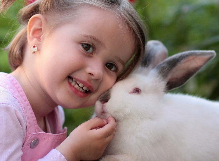 Unilever joins battle to end global animal testing in cosmetics

