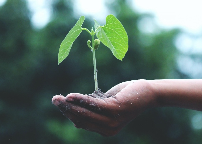 Unilever responds to climate crisis with new sustainability targets 