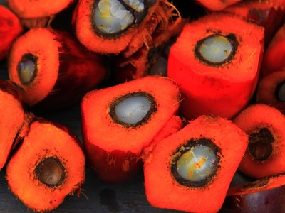 Unilever resumes business with estranged palm oil supplier IOI 
