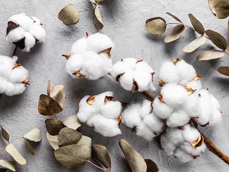 Unveiling the advantages of non-woven fabrics in beauty applications