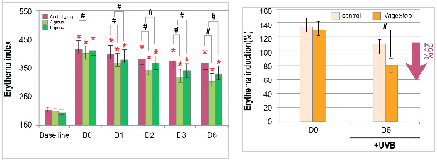 Figure 2. Clinical study of VageStop on skin erythema