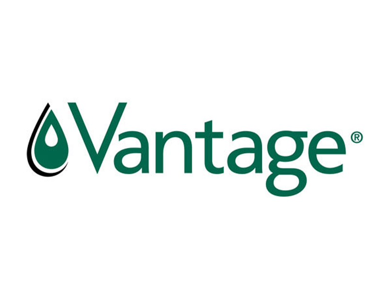 Vantage adds four new ingredients to its natural-fuelled, efficacy focused solutions portfolio for beauty & personal care applications