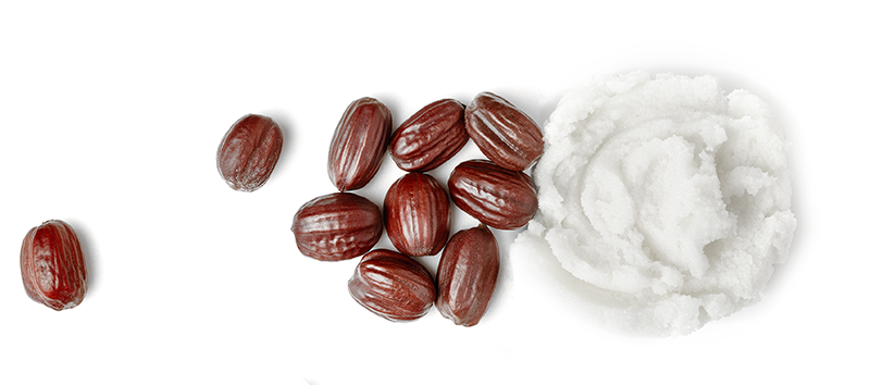 Vantage Personal Care introduces Liponate Jojoba 20 for sensitive skin-friendly formulations 
