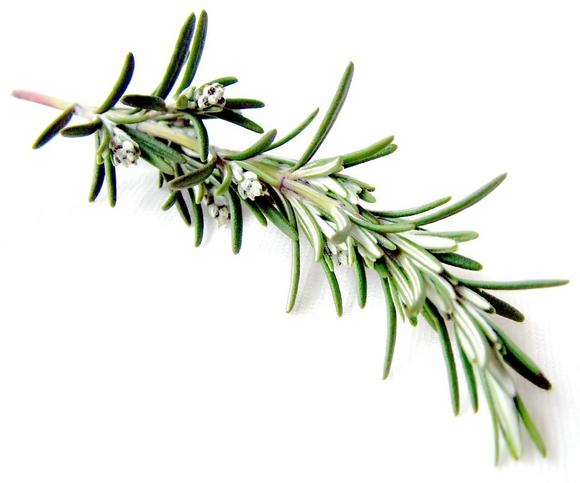 Vitiva’s rosemary preservatives now certified organic
