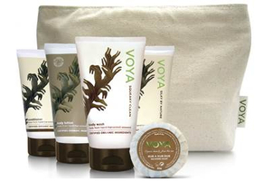Voya takes to the skies 