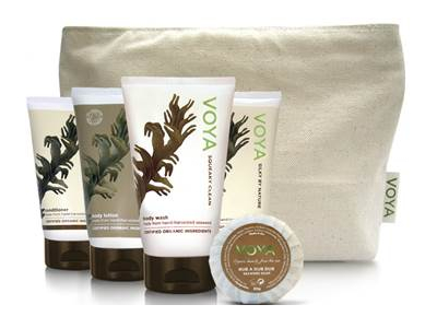 Voya takes to the skies 