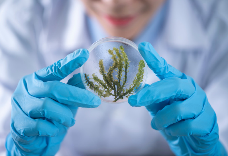 Vytrus Biotech and GAIKER Technology Centre gain €500k to develop skin treatments 