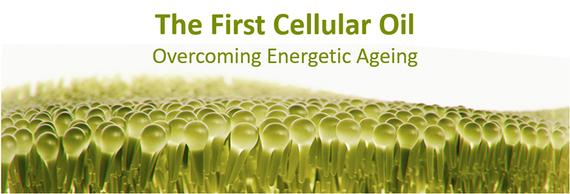 Vytrus Biotech presents the active OLEA VITAE, Innovation Zone Awards 2019 Finalist