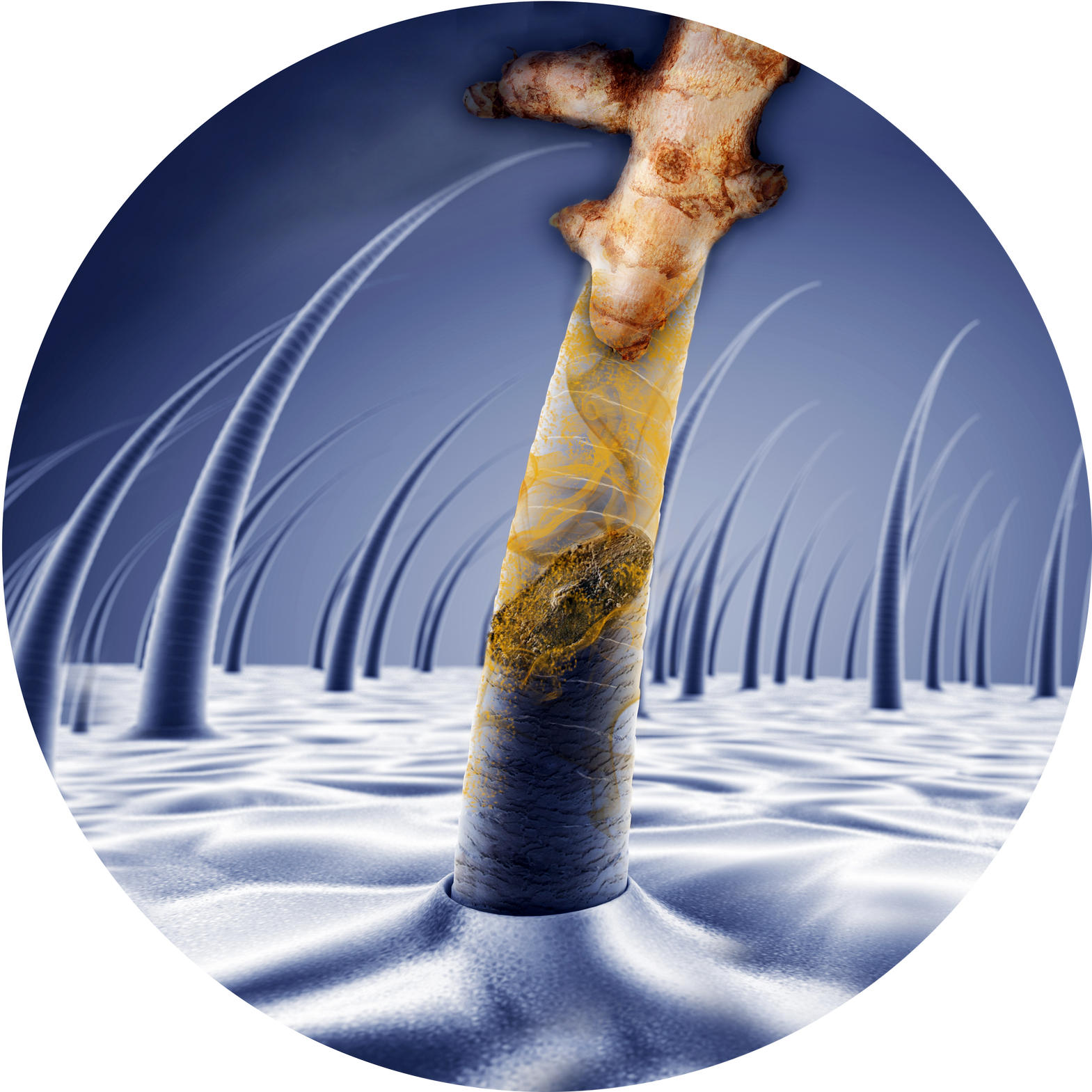 Vytrus Biotech unveils Capilia Longa – the hair 3D Bio-printer