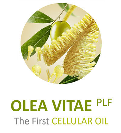 VYTRUS BIOTECH wins 2 gold at in-cosmetics Global
