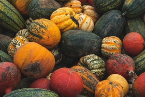 Waste not, wonk not: How you can prevent food waste