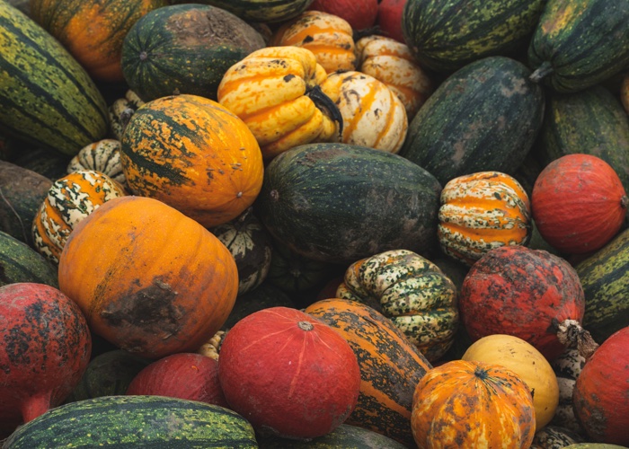 Waste not, wonk not: How you can prevent food waste