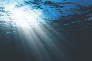 Water systems & GMP