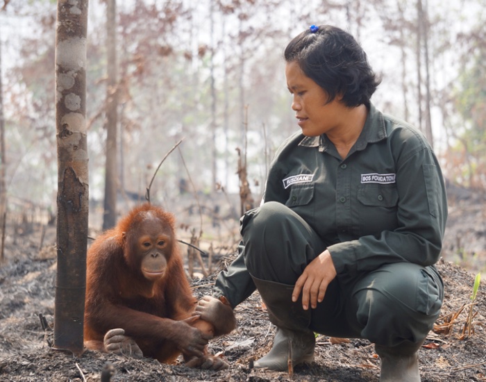 Weleda pledges orangutan protection with new sustainable partnership