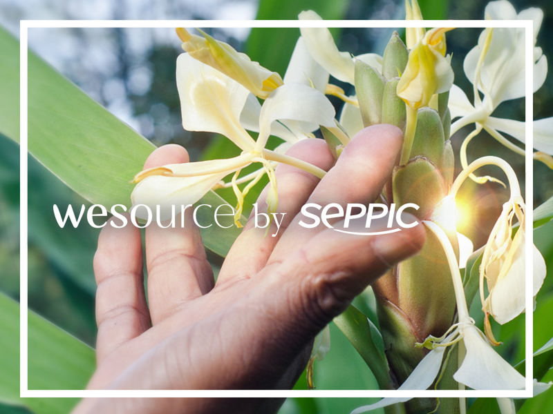 wesource addresses the wild beauty trend