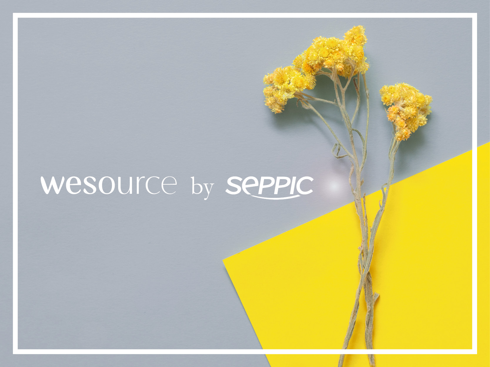 wesource by Seppic unveils its active ingredient of the year 2021