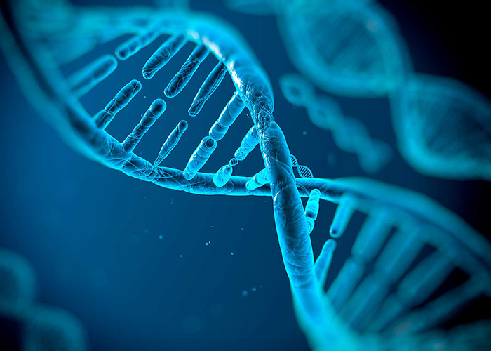 What is epigenetics and how is it relevant to beauty?