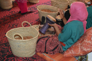 What’s next for argan oil?