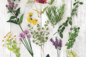 What's next for green beauty?