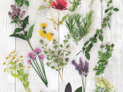What's next for green beauty?