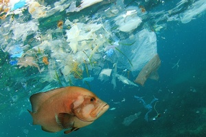 What’s the excuse for single-use? Brands fighting the war on wet wipes
