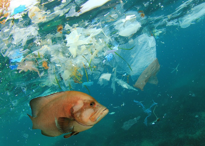 What’s the excuse for single-use? Brands fighting the war on wet wipes