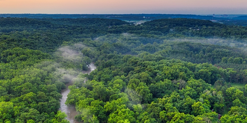 Who’s benefitting from L’Oréal’s Fund for Nature Regeneration?