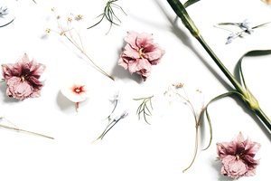 Who's offering custom cosmetic ingredients?