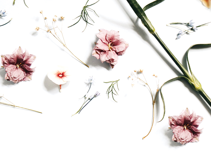 Who's offering custom cosmetic ingredients?