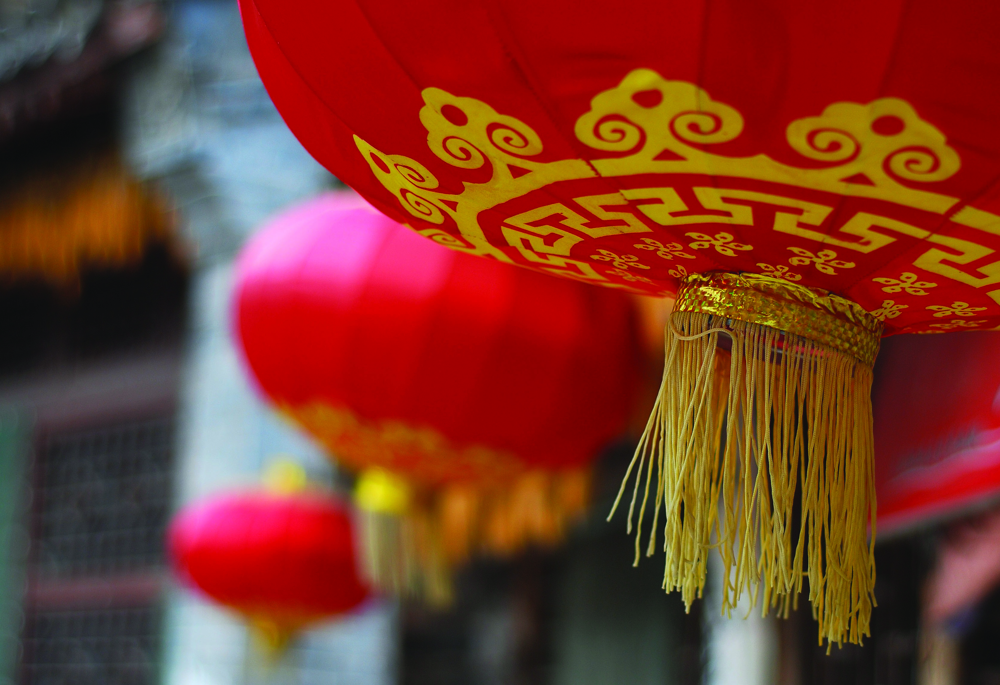 Why are home-grown labels thriving in China?
