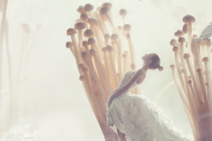 Why mushroom beauty products are here to stay in 2023