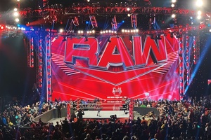 WWE has got beauty in a vice. But can it become a knockout marketing success?