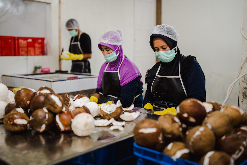 Lush on the trials and rewards of sourcing fresh ingredients